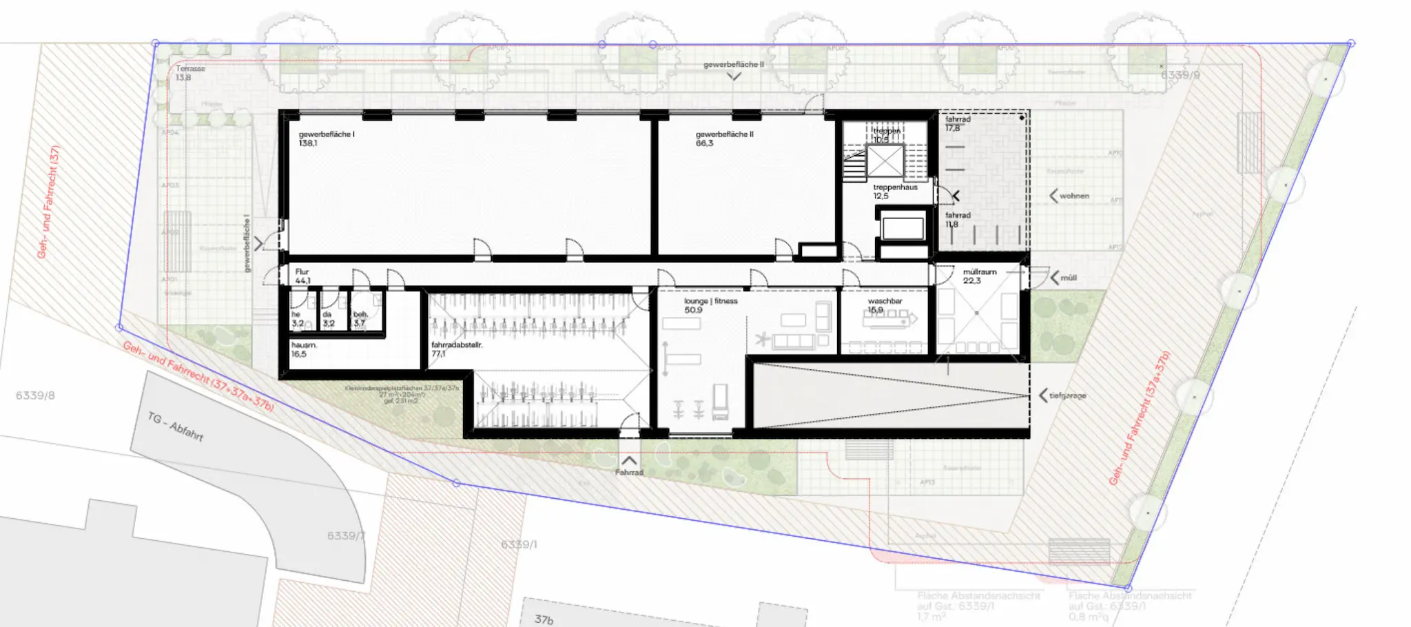 Grundriss des Wohnprojekts RAUM37 in Dornbirn